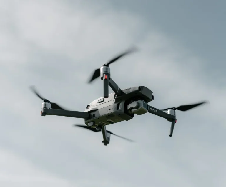 Article Image 3 768x637